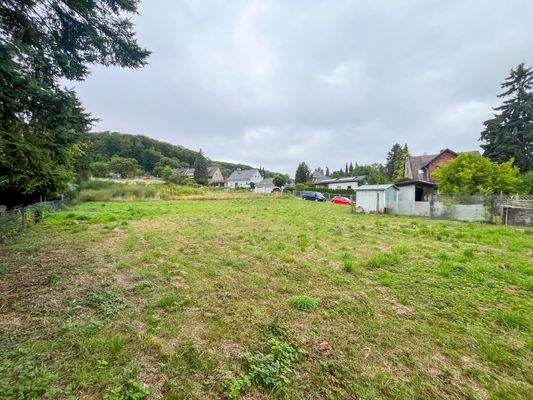 Blick in Richtung Wald (Westen)