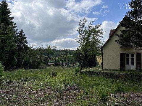 Neunkirchen am Sand Grundstücke, Neunkirchen am Sand Grundstück kaufen