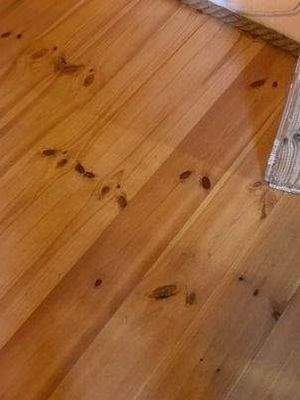 Teilweise Holzdielen vorhanden