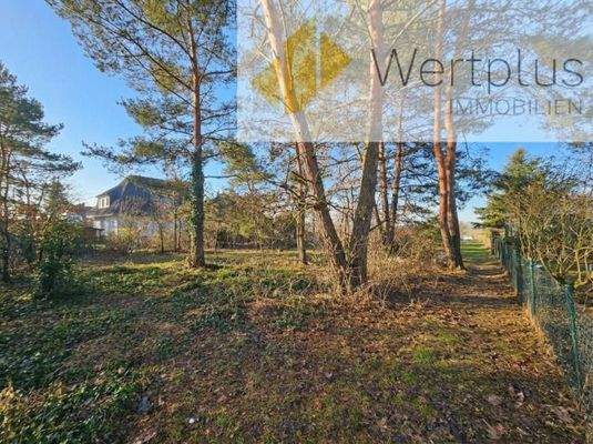 seitliche Ansicht des Baugrundstückes