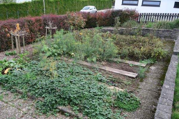 Gemüsegarten