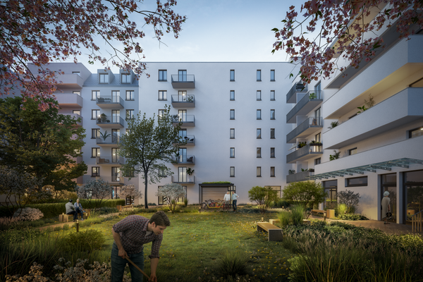 Hofperspektive Abend