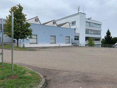 Ludwigsburg Halle, Ludwigsburg Hallenfläche