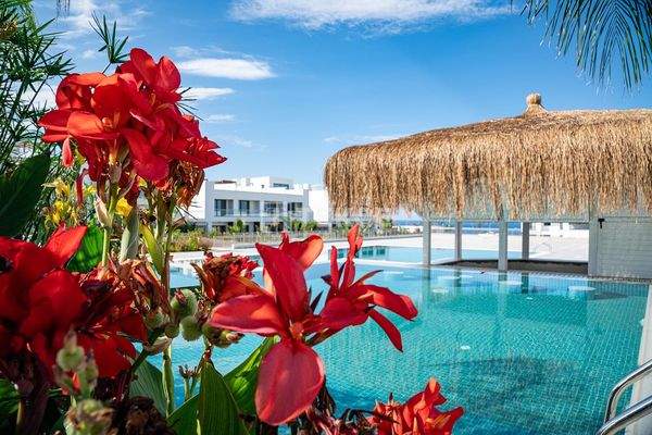 Apartments Within Walking Distance to the Sea in North Cyprus Girne