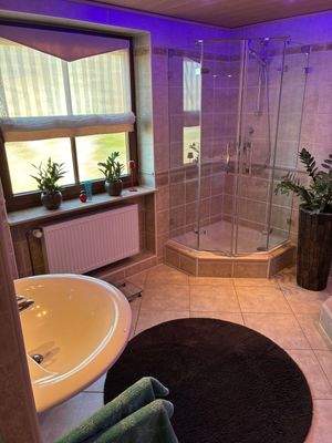 Badezimmer mit Dusche.jpg