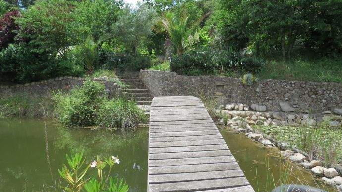 Brücke über den Teich