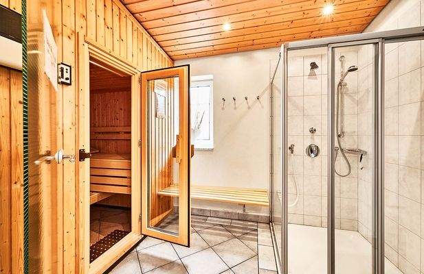 Sauna/Wellnessbereich