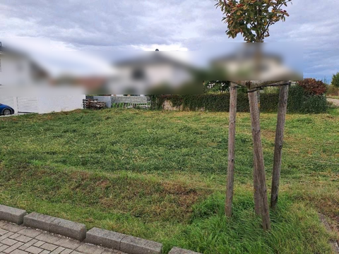 Endingen am Kaiserstuhl Grundstücke, Endingen am Kaiserstuhl Grundstück kaufen