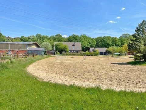 Wesel Bauernhöfe, Landwirtschaft, Wesel Forstwirtschaft