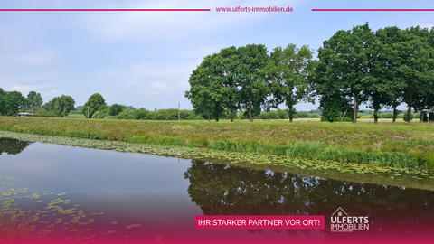 Neukamperfehn Bauernhöfe, Landwirtschaft, Neukamperfehn Forstwirtschaft