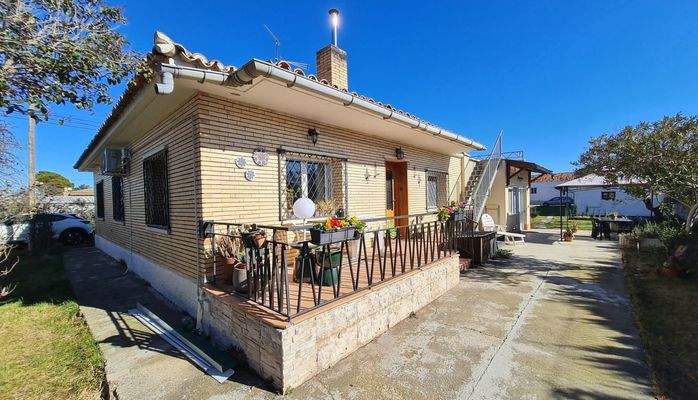 WhatsApp Image 2025-02-12 at 17.32.06 (22).jpeg