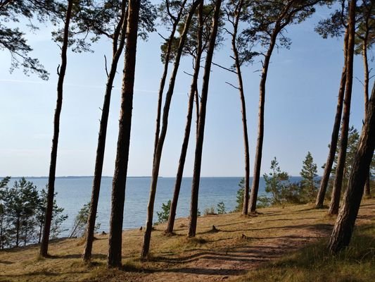 Steilküste an der Wohlenberger Wiek (2km)