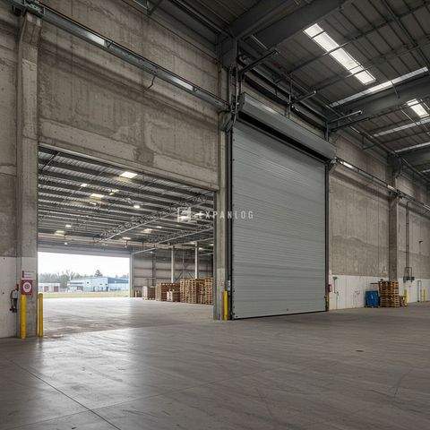 Tönisvorst Halle, Tönisvorst Hallenfläche