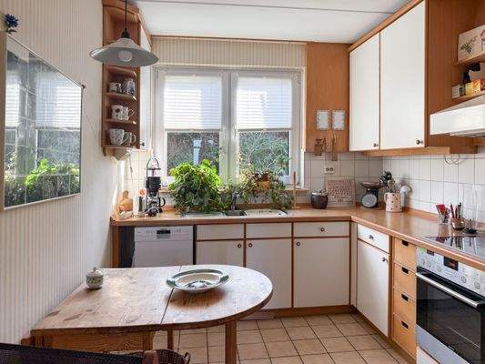 7. Küche mit Blick in den Garten.jpg