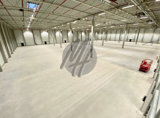 INFOS UNTER: 06171-586000