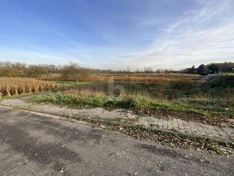 Dettenheim Grundstücke, Dettenheim Grundstück kaufen