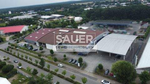 Ludwigsfelde Halle, Ludwigsfelde Hallenfläche