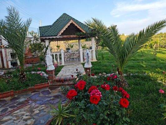 WhatsApp Image 2023-06-15 at 12.01.44.jpeg