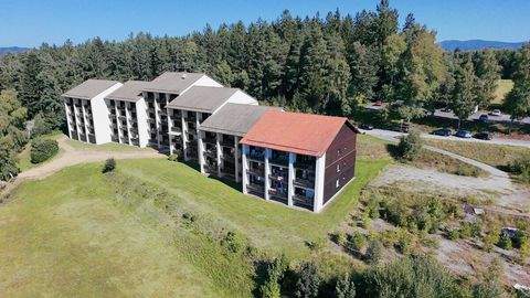 Regen Wohnungen, Regen Wohnung kaufen