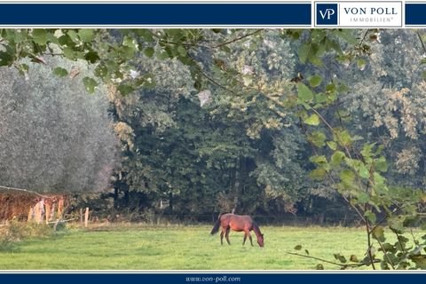 Warendorf Bauernhöfe, Landwirtschaft, Warendorf Forstwirtschaft