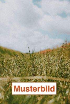 Beispielbild GRD 2.jpg