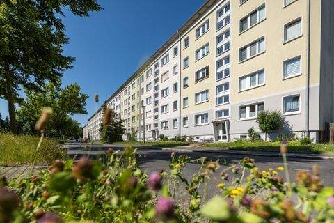 Zittau Wohnungen, Zittau Wohnung mieten