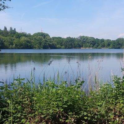 Südparksee