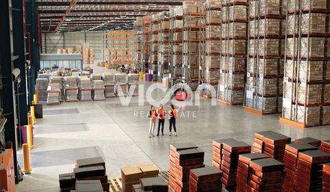 Duisburg Halle, Duisburg Hallenfläche