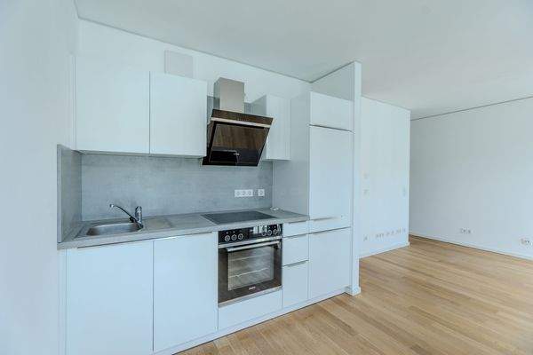 Moderne Küche im Apartment