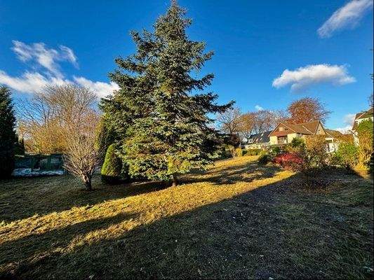 Blick vom Garten in Richtung Haus