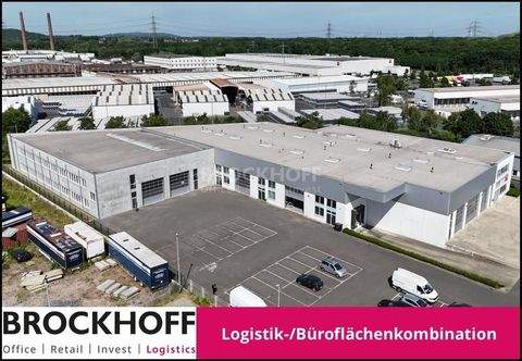 Essen Halle, Essen Hallenfläche