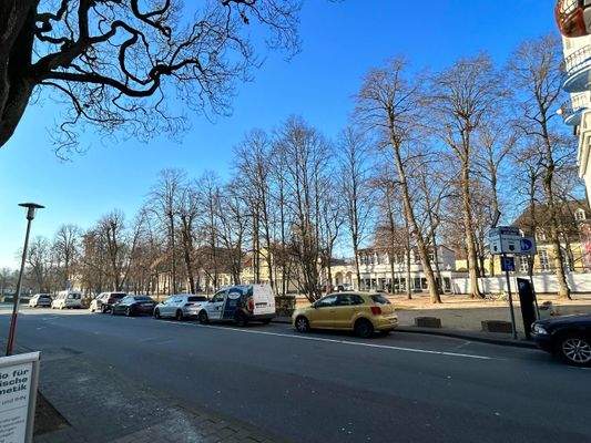 Blick auf die Hauptallee