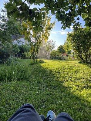 Blick nach Nord-West