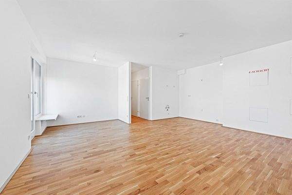 PMP456-AN-24955-Top 42-004