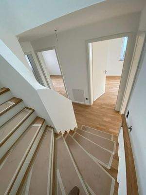 Treppe Trittstufe Eiche.jpeg