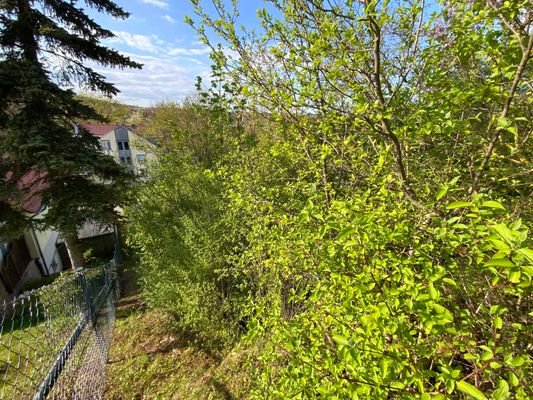 Blick vom oberen Grundstücksabschnittl