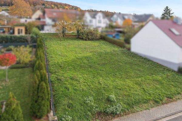 Blick ins Grundstück