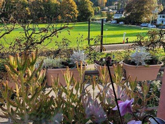 Wiehre-Günterstal: 4x GründerzeitWhg + Fabrik-Loft