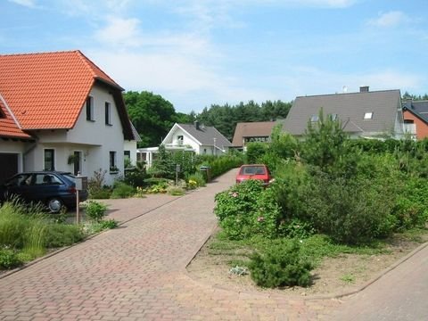 Lostau Häuser, Lostau Haus mieten 