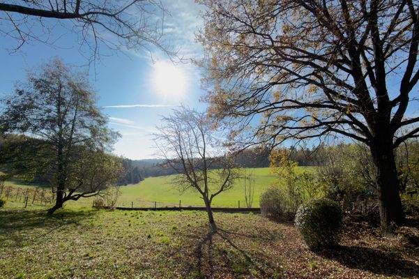 Birkenweg 4, Thal-21