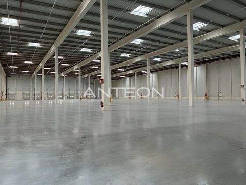 Dortmund Halle, Dortmund Hallenfläche