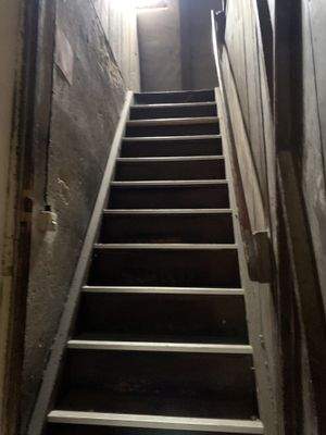 Kellertreppe Lö 27