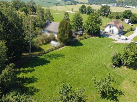 Amt Creuzburg Grundstücke, Amt Creuzburg Grundstück kaufen