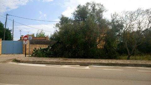 San Lorenzo Häuser, San Lorenzo Haus kaufen