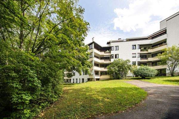 Blick vom Garten auf die Rückseite des Hauses