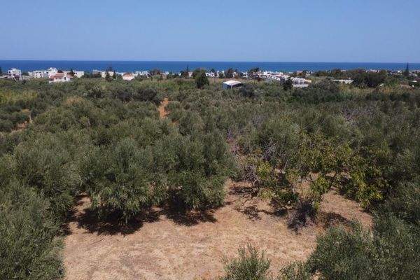 Kreta, Maleme: Villa in mediterraner Anlage mit Olivenhain und Meerblick zu verkaufen