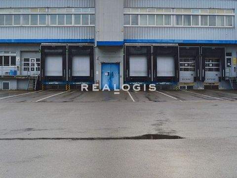 München Halle, München Hallenfläche