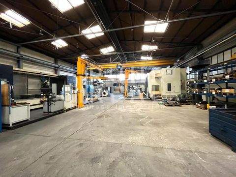 Neuss Halle, Neuss Hallenfläche