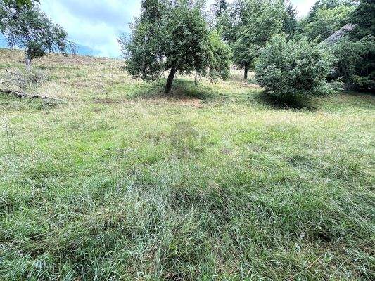 Blick Richtung Norden