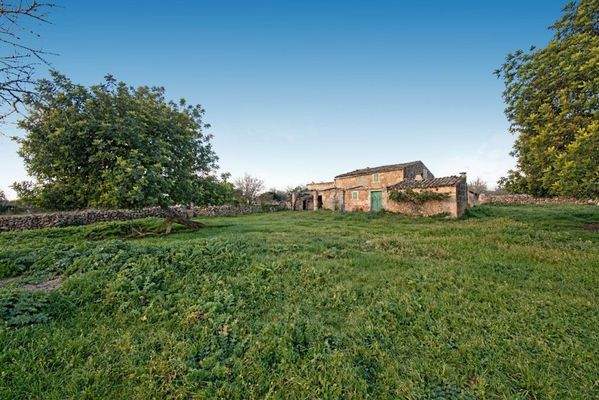 Rustikales Land zum Verkauf nahe Maria de la Salut auf Mallorca